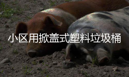 桶盖式垃圾用掀小区塑料